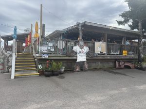 Google Photo ASfJCA7 VO7c